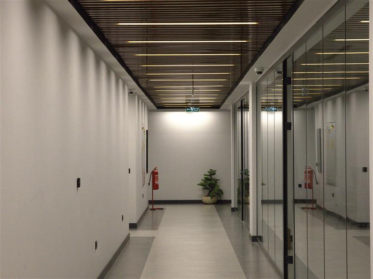 Linear Ceiling and Hidden Lighting Trends in Modern Offices.