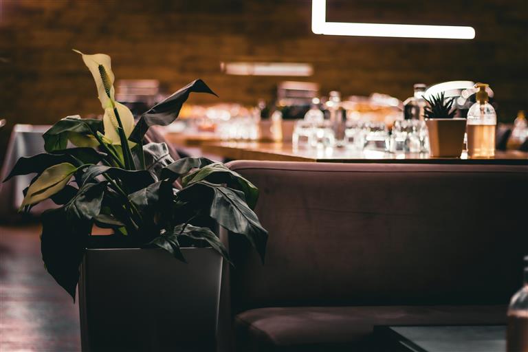 Restaurant Interior Architecture: The Role of Plants in Interiors.