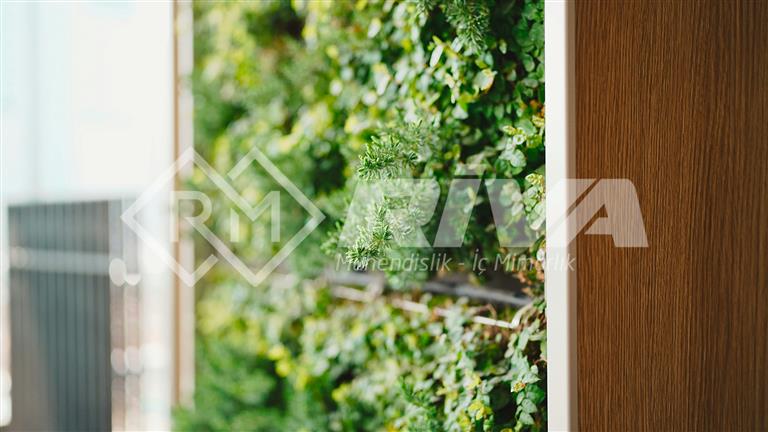 Ankara'da Ofis Tasarımları: Biyofilik Tasarım Rehberi.